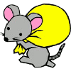 rat