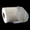 tissue1